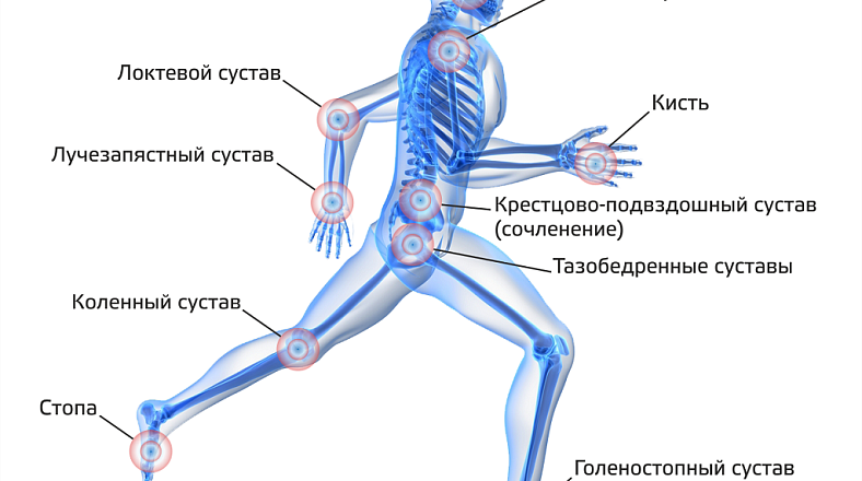 Услуга МРТ суставов в Новосибирск